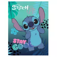 Ilustracja St. Majewski Zeszyt A5 32 Kartki Cienka Kolorowa Linia Stitch 686603