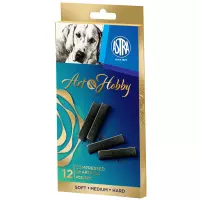 Ilustracja Astra Zestaw Węgli Prasowanych Art&Hobby 12 Sztuk 323115005