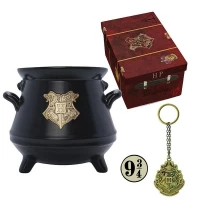 Ilustracja Harry Potter Zestaw Prezentowy Premium: Kubek 3D Kociołek + Brelok 3D + Przypinka