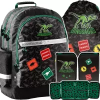 Ilustracja produktu Paso Zestaw Szkolny 3el. Dino Green Plecak PP25DI-116 + Piórnik  PP25DI-P001BW + Worek PP25DI-712