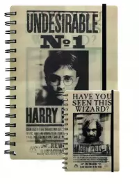 Ilustracja produktu Notatnik 3D Harry Potter (SIRIUS & HARRY)