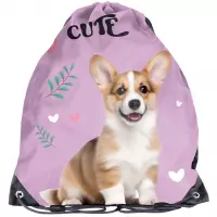 Ilustracja Paso Worek Szkolny Corgi Lila PP26CG-712
