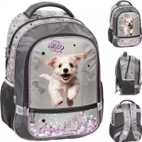 Ilustracja produktu Paso Plecak Szkolny Maltańczyk PP26SZ-260