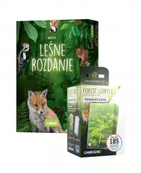 Ilustracja Leśne rozdanie + Gamegenic: Forest Shuffle - Koszulki na Karty - Art Sleeves Ilustracja Leśne rozdanie + Gamegenic: Forest Shuffle - Koszulki na Karty - Art Sleeves