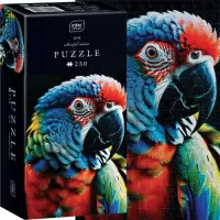 Ilustracja  Interdruk Puzzle 250 el Colourf Nature 9 Parrot 385550