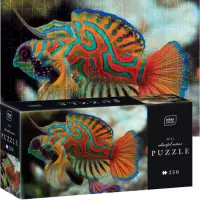 Ilustracja produktu Interdruk Puzzle 250 el Colourf Nature 11 Mandarinfish 385574