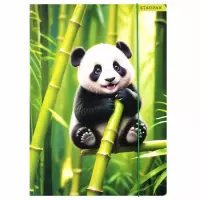 Ilustracja produktu Starpak Teczka z Gumką Wild Animals 559729