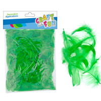 Ilustracja Craft With Fun Ozdoba Dekoracyjna Piórka Zielone 463678