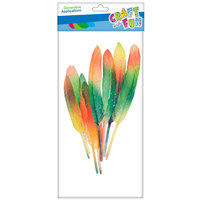 Ilustracja Craft With Fun Ozdoba Dekoracyjna Piórka Tęczowe 463661