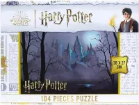 Ilustracja Puzzle Harry Potter - Hogwarts 104 elementy