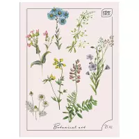 Ilustracja produktu Interdruk Zeszyt A4 60 kartek kratka 366979