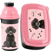 Ilustracja produktu Paso Zestaw Śniadaniowy Black Dog Bidon  PP25DB-3021 + Śniadaniówka PP25DB-3022