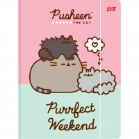 Ilustracja Bambino Teczka z Gumką A4 Pusheen Różowa 644597