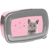 Ilustracja Paso Śniadaniówka Kot PP24CT-3022