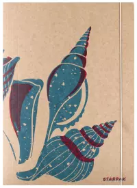 Ilustracja produktu Starpak Teczka z Gumką Papierowa ECO Sea 531004