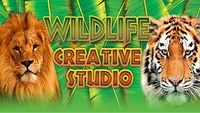 Ilustracja Wildlife Creative Studio (PC) (klucz STEAM)