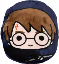 Ilustracja Poduszka-koc 2w1 Harry Potter - Harry