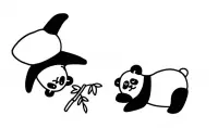 5. Panda Panda (edycja polska)