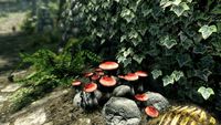 4. The Elder Scrolls V: Skyrim Special Edition (PC) DIGITAL (klucz STEAM)