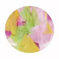 2. Craft With Fun Ozdoba Dekoracyjna Kolorowe Pastelowe Piórka 428904