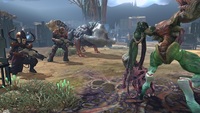 5. Phoenix Point PL (PC)