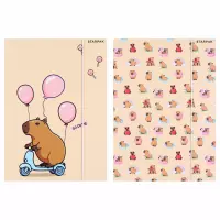 1. Starpak Teczka z Gumką Kapibara 583303