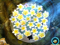 10. Melissa K. and the Heart of Gold (PC/MAC) DIGITAL (klucz STEAM)