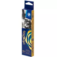 2. Astra Naturalny Węgiel Rysunkowy Art&Hobby 3-6mm 10 Sztuk 323115004