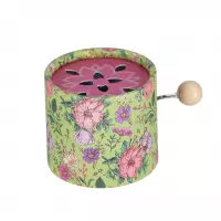 8. Mega Creative Instrument Muzyczny Pozytywka 10cm 595083