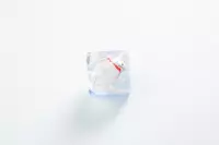 8. Gamegenic: Embraced Series - RPG Dice Set - Kości do Gry - Polar Bear