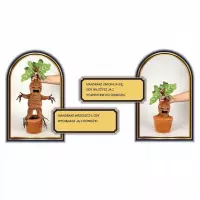 3. Pluszak  Harry Potter - Mandragora