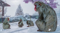 3. Planet Zoo: Arctic Pack PL (DLC) (PC) (klucz STEAM)