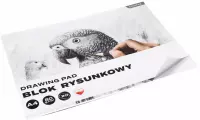 2. Starpak Blok Rysunkowy Football A4 20 kartek Biały Papuga 588812