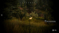 5. Hunting Simulator 2: Elite Edition (PC) (klucz STEAM)
