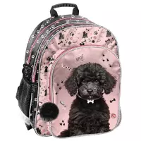 1. Paso Plecak Szkolny Black Dog PP25DB-090
