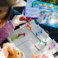4. Smart Games Akademia Jazdy Konnej (PL)