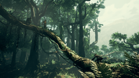7. Ancestors: The Humankind Odyssey PL (PC) (klucz STEAM)