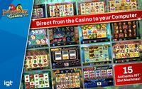 2. IGT Slots Paradise Garden (PC) DIGITAL (klucz STEAM)