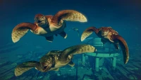 6. Jurassic World Evolution 2: Prehistoric Marine Species Pack PL (DLC) (PC) (klucz STEAM)