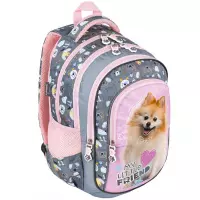 1. St.Majewski Plecak Szkolny BPL-58 Sweet Pomeranian 688614