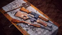 2. theHunter: Call of the Wild - Rapid Hunt Rifle Pack PL (DLC) (PC) (klucz STEAM)