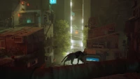 8. Stray PL (PC) (klucz STEAM)