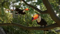 5. Planet Zoo 2 PL (Xbox Series X)