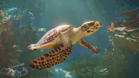 6. Planet Zoo 2 PL (Xbox Series X)