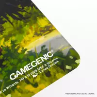 6. Gamegenic: Magic the Gathering - The Hobbit - Prime Playmat - Leaving Hobbiton