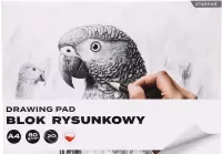 1. Starpak Blok Rysunkowy Football A4 20 kartek Biały Papuga 588812