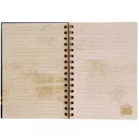 2. Undercover Kołozeszyt A5 Harry Potter HPIC0512