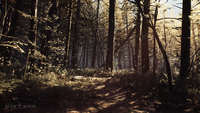 2. Blair Witch PL (Xbox One)