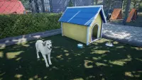 8. Exotica 2: Pet Shop Simulator PL (PC) (klucz STEAM)