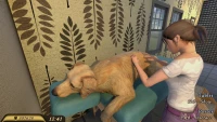 10. Pets Hotel PL (PC) (klucz STEAM)
